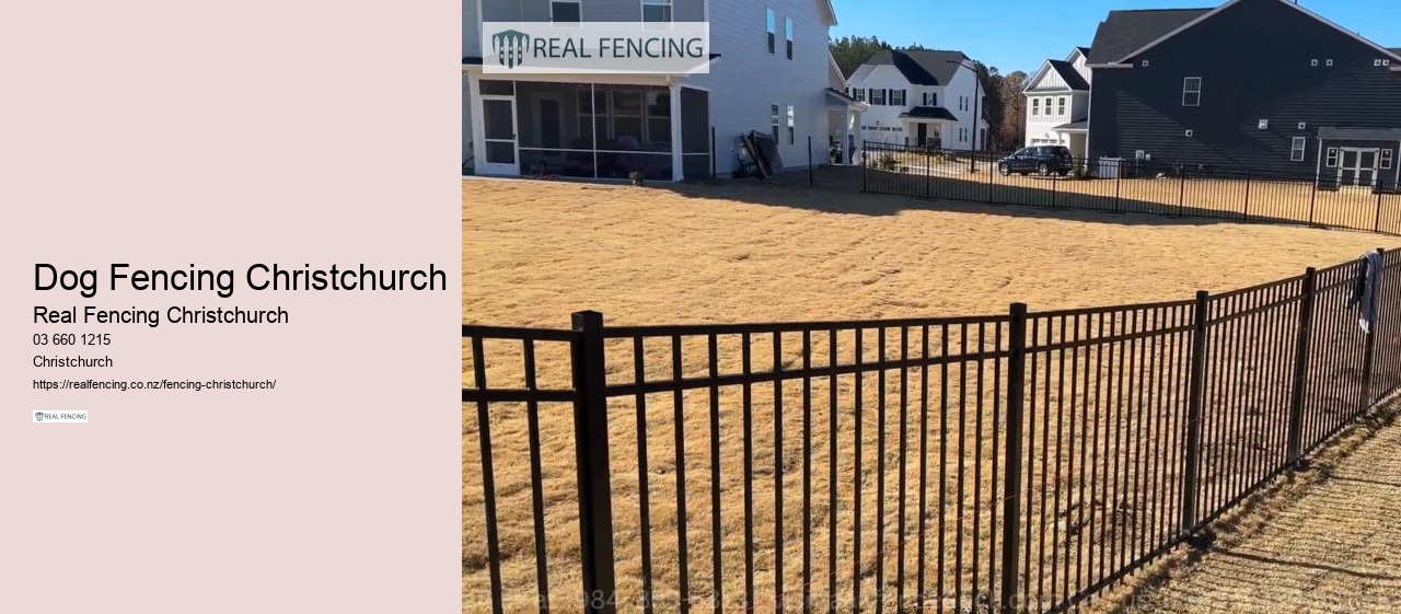 Dog Fencing Christchurch